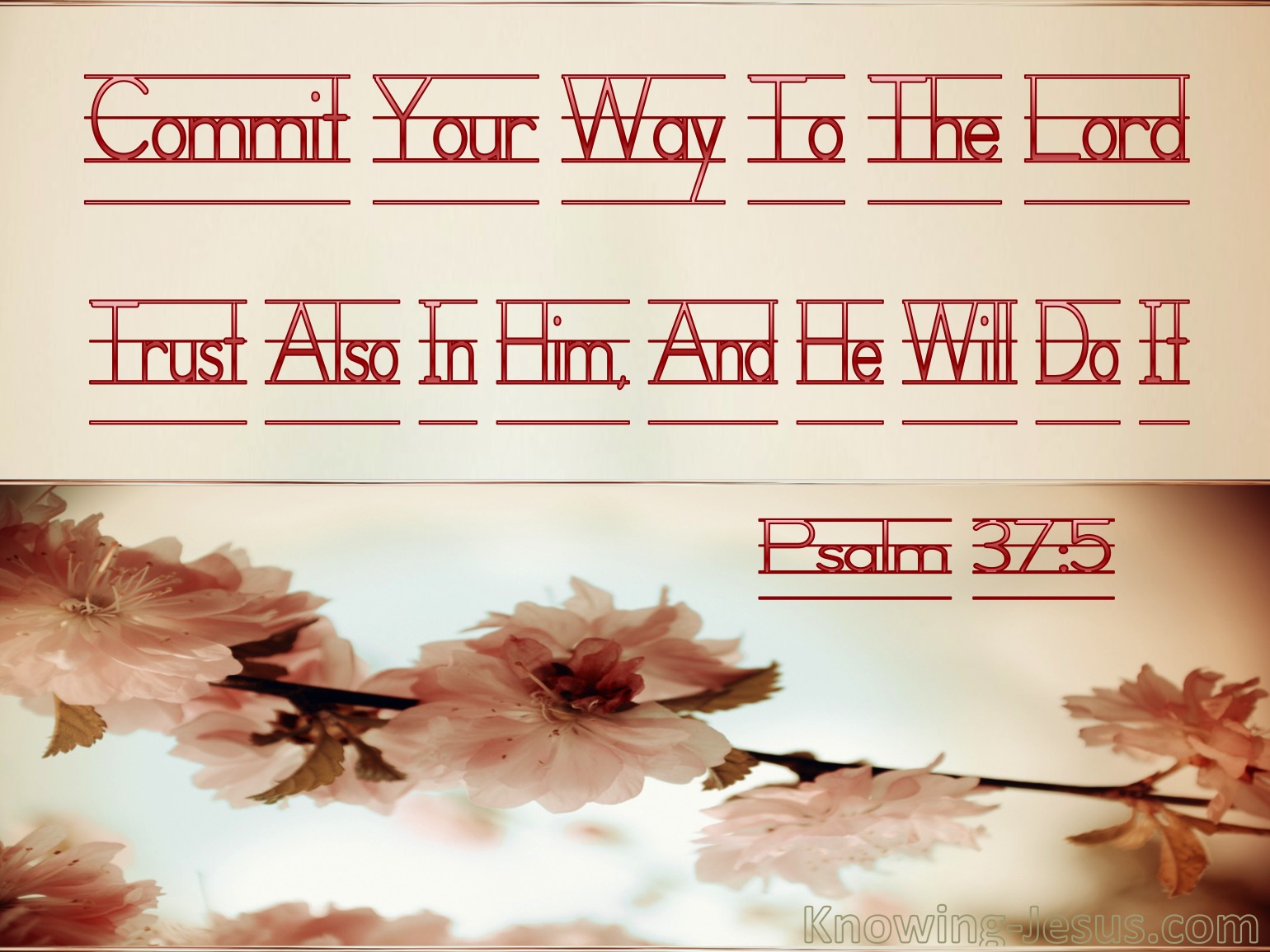 What Does Psalm 37 5 Mean 